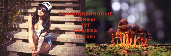 кокс Баксан